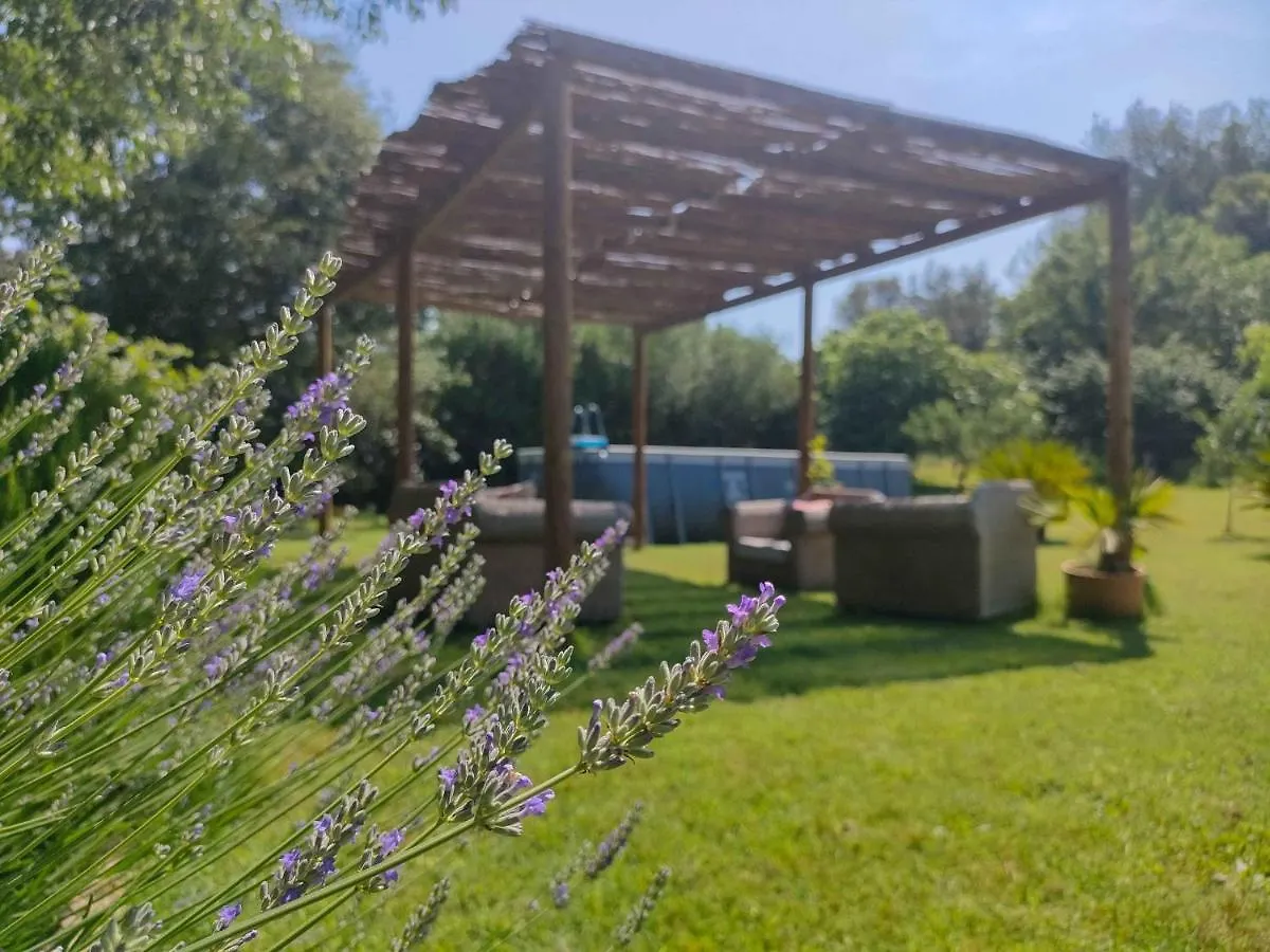 El Celler - Can Bonet San Martí Vell